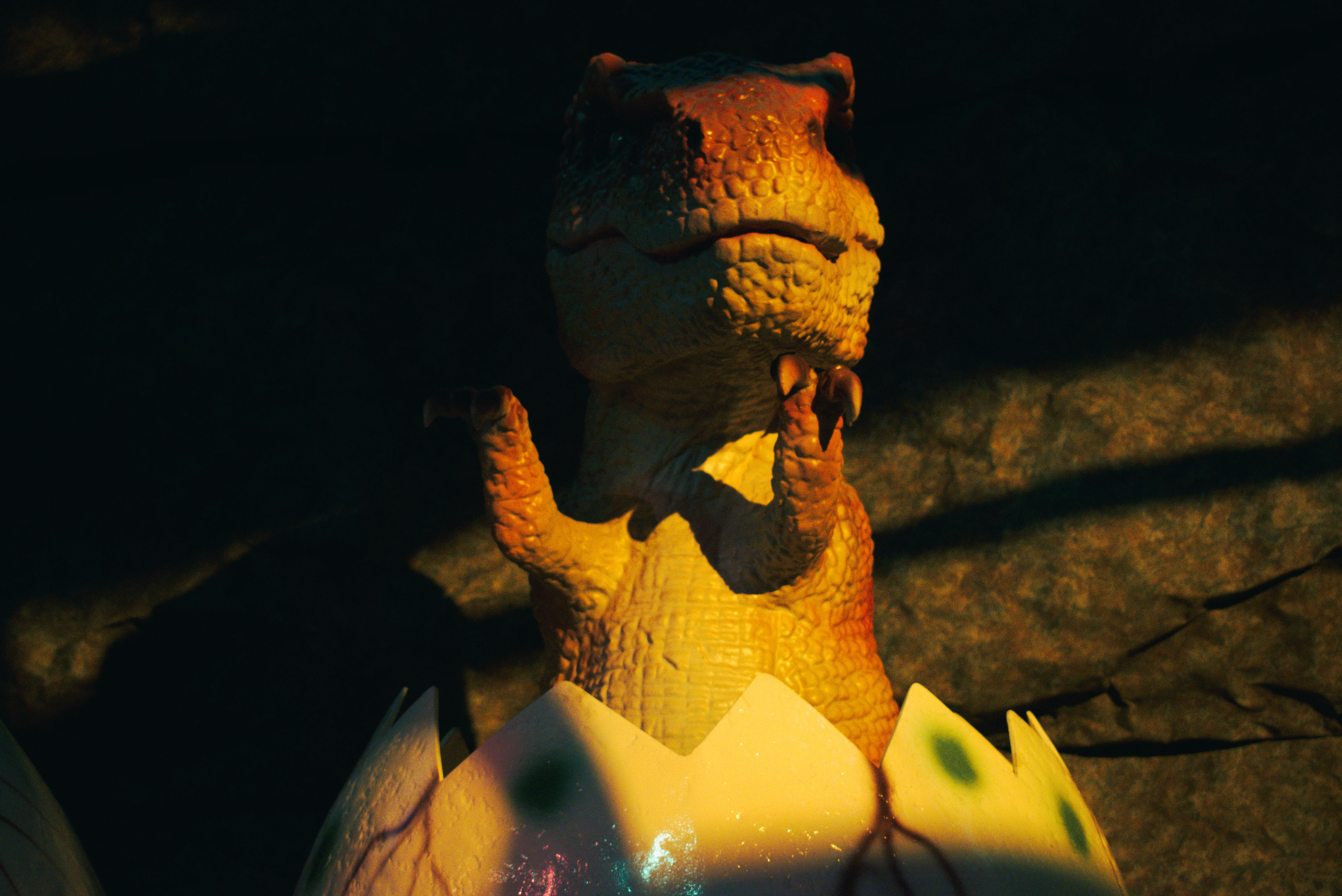 Birthday Image Birthday Image